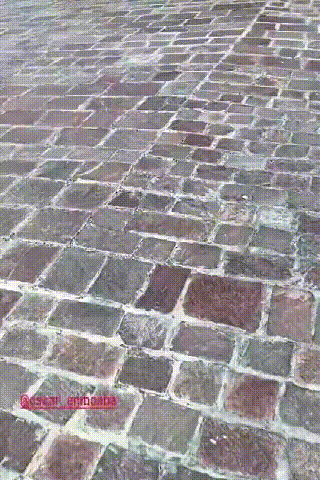 这是谁呀？当小金人变成了小胖人。一下子没认出来，上港名宿奥斯卡来探班，被蒋光太晒