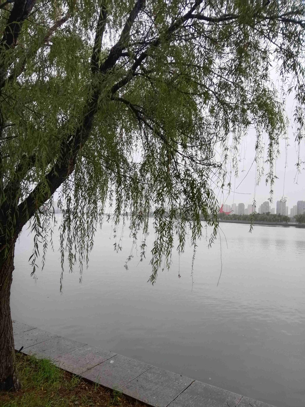 我的今日状态：😁轻松愉快
我这里的天气：🌧下雨