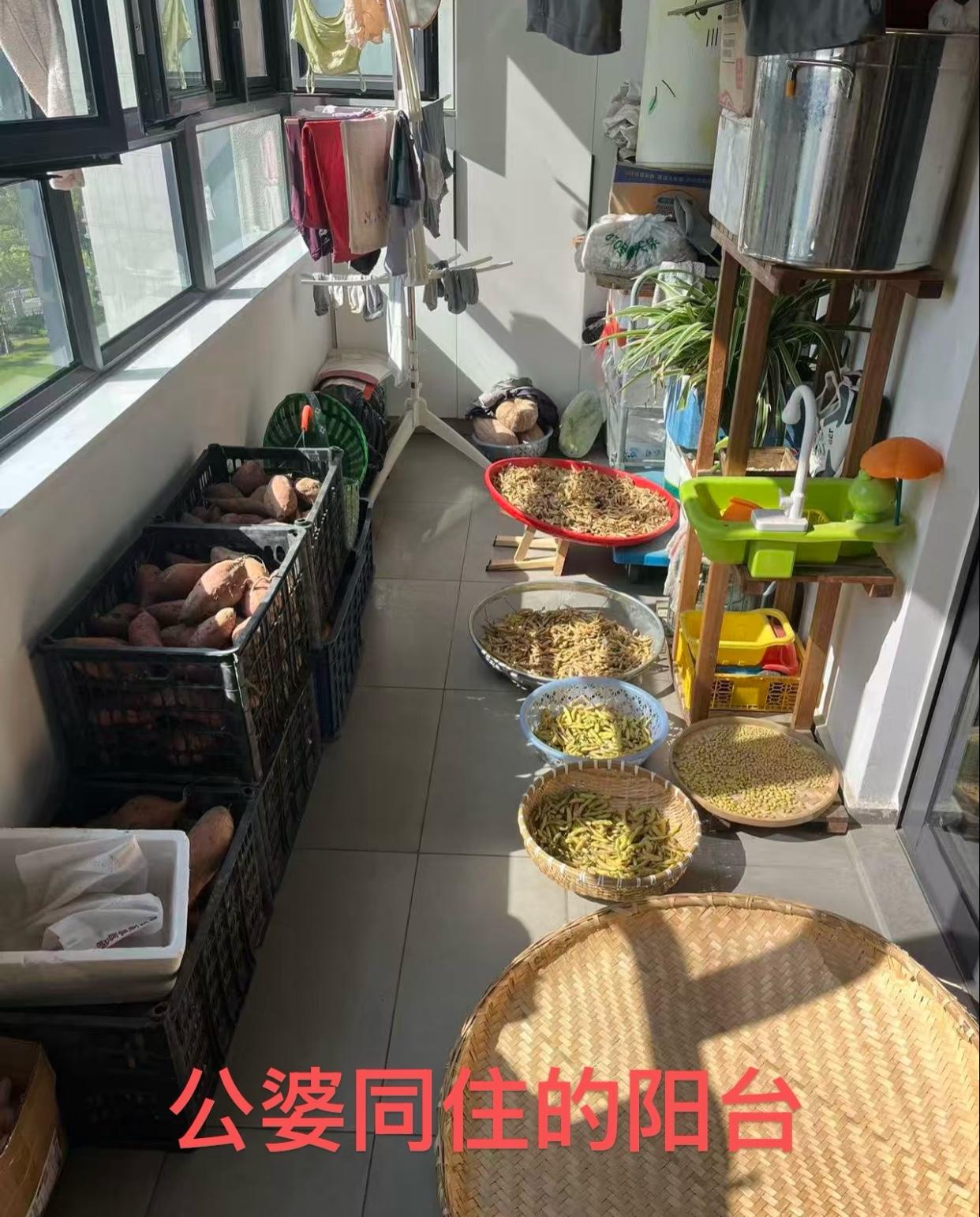 为这事离婚值吗？
给他们在附近租个房就不行，
一定得挤在一起，
说什么有儿子家不