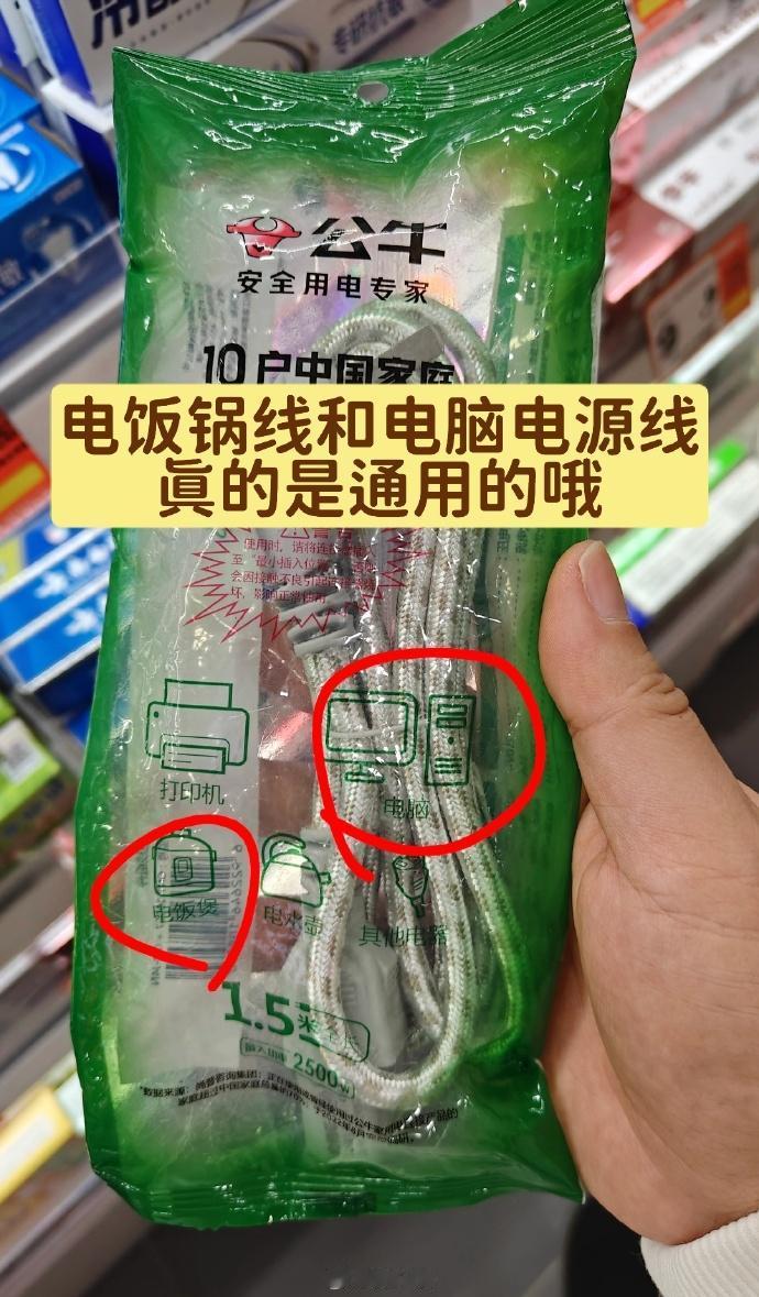 小时候，家长把电脑的电源线拿走，我就用电饭锅的线接上玩游戏