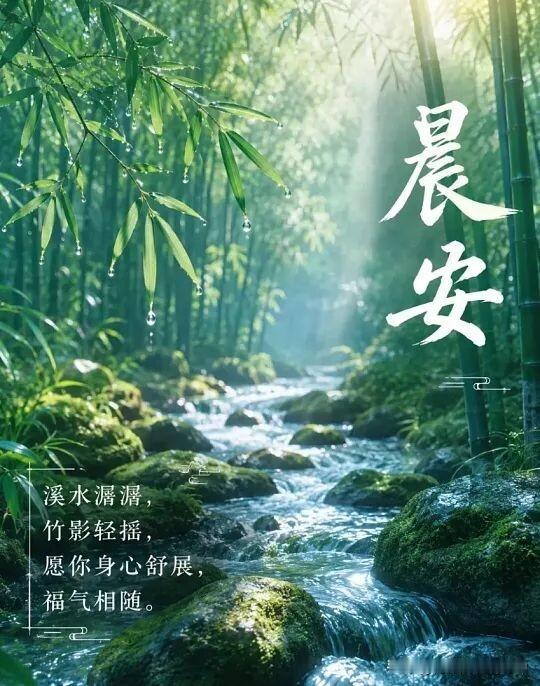 晨安，愿你如这溪水般清澈，竹影轻摇，身心舒畅。