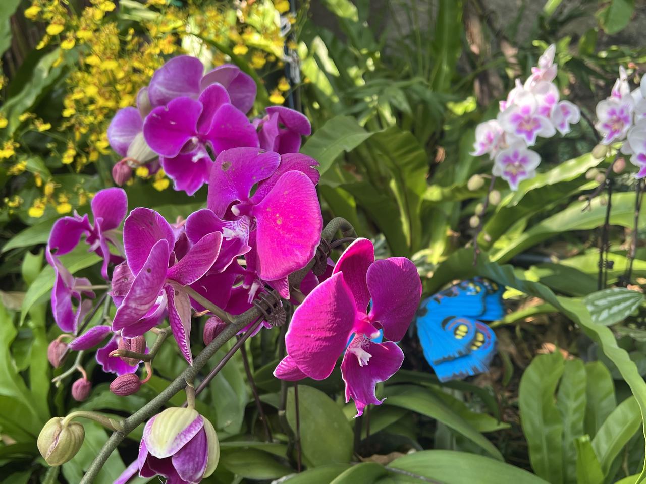 春信

文/申明洲

风，是春的信使，率先给我们带来了春的消息 。

它悠扬穿过