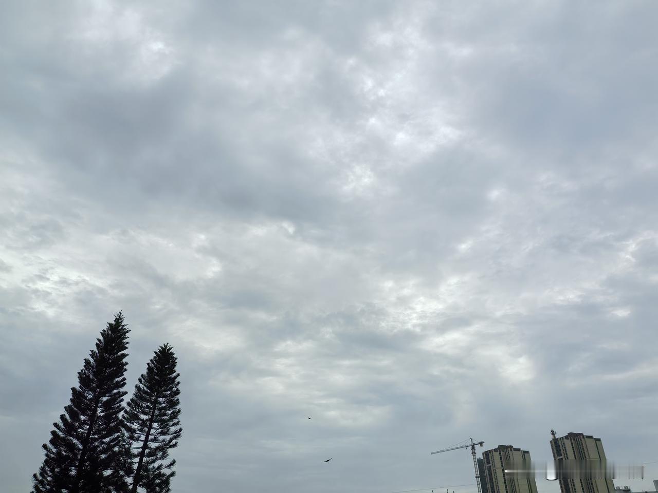 雨水仍在线，广东周末被雨水盯上了！

19日，珠三角和南部的部分市县有中雷雨局部