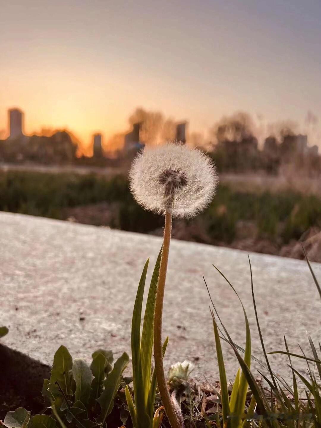 出门在外，有时候确实很想家。有些时候实在是想的不行了，给父母打个电话，可电话打通