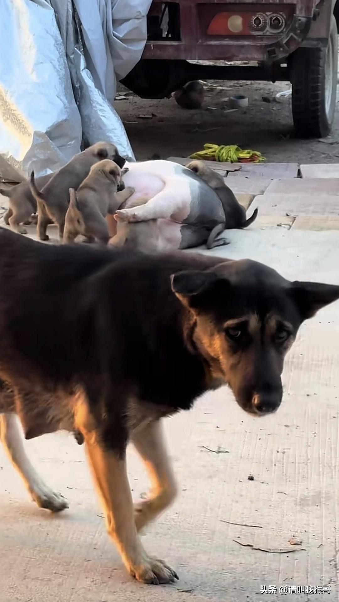 真是远亲不如近邻