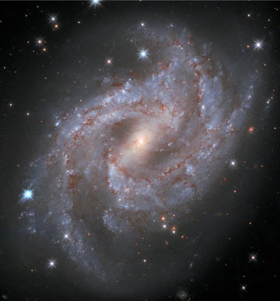 距离银河系7000万光年宽大而美丽的棒旋星系NGC 2525在地球的夜空中闪耀，