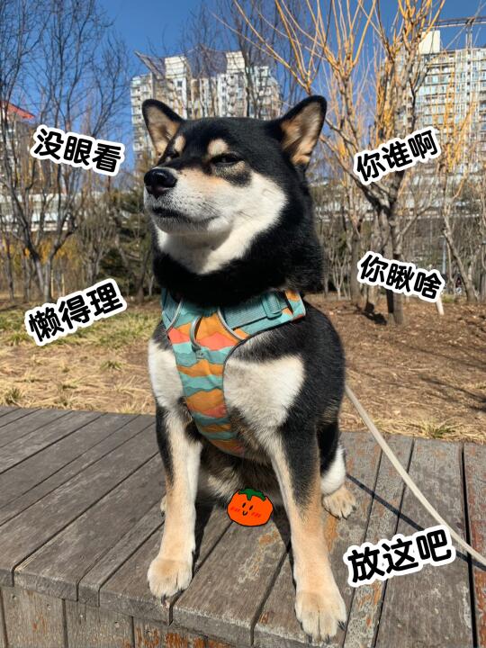 弟弟：这还嫌弃得不明显吗