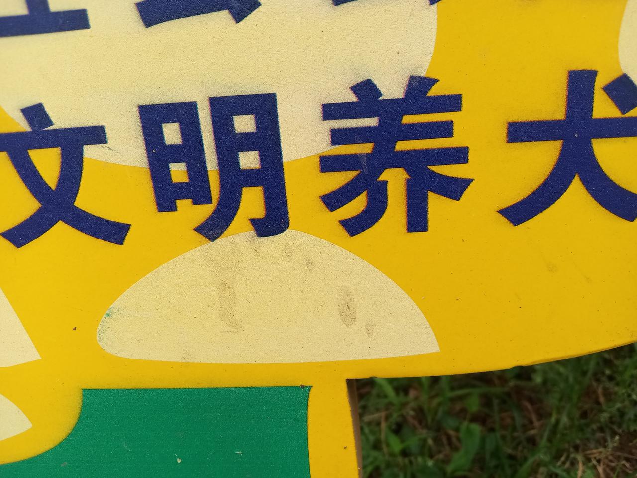 恶狗为什么总喜欢欺负老弱病残？有人说狗仗人势，但我感觉不是狗仗人势，而是人仗狗势