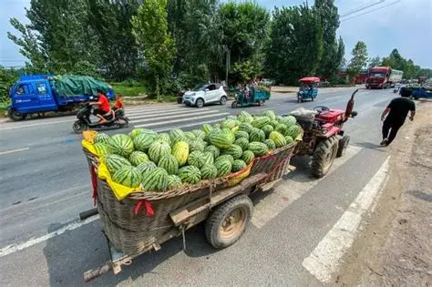 满满一卡车河南西瓜免费送劳动者 夏日暖心双向奔赴！得知河南西瓜集中上市遭遇滞销，