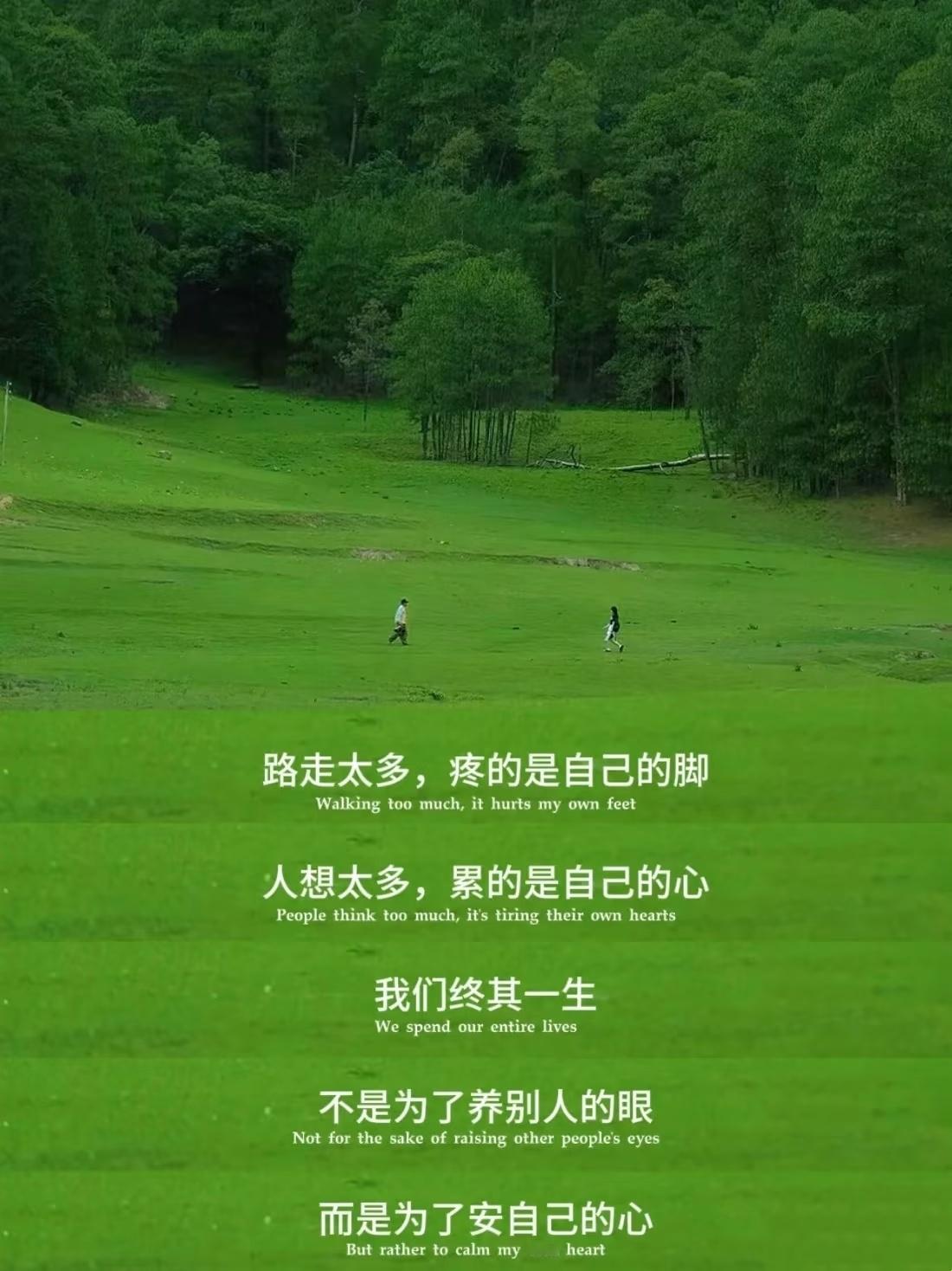 很通透的一段话愿我们都能积极面对生活勇敢做自己 