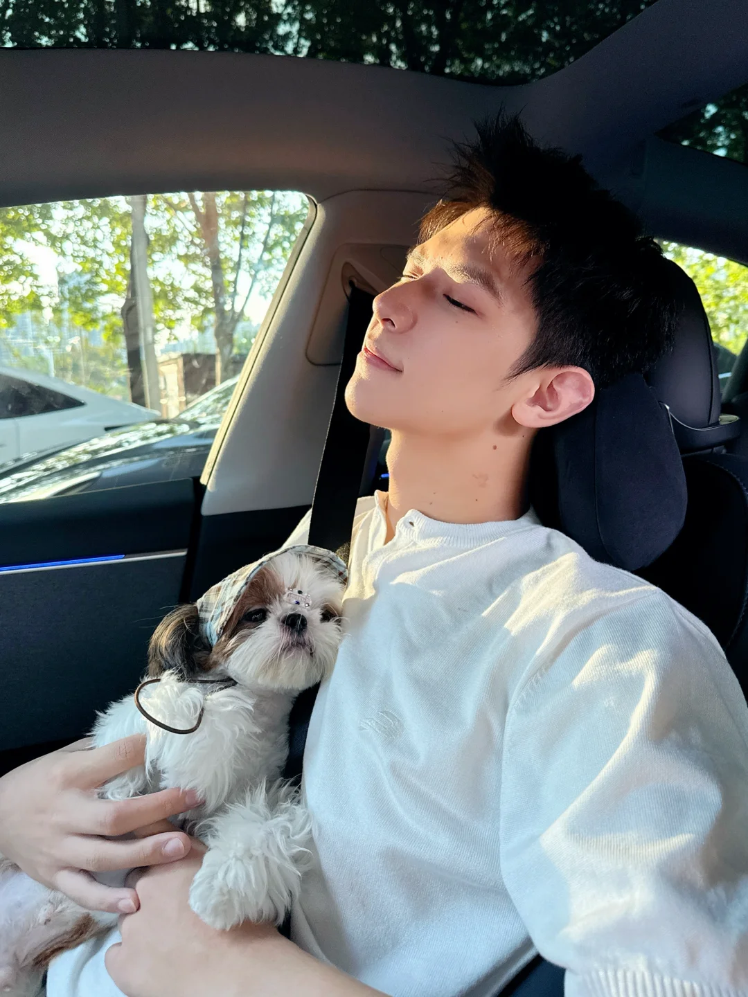 小狗年轻的爸爸