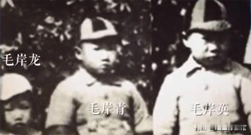 毛岸英三兄弟青少年时期合影，其中有一张是唯一一张三兄弟同框合影