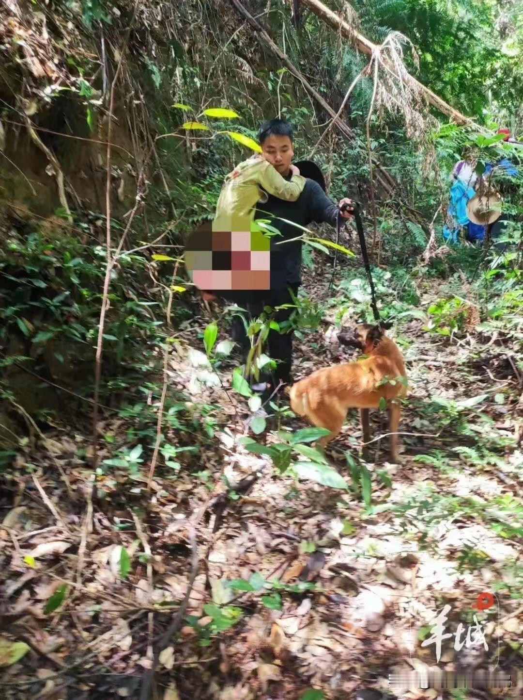 奇迹发生了！肇庆11岁男孩误入无人深山，失联13天，就在所有人都以为孩子已经遭遇