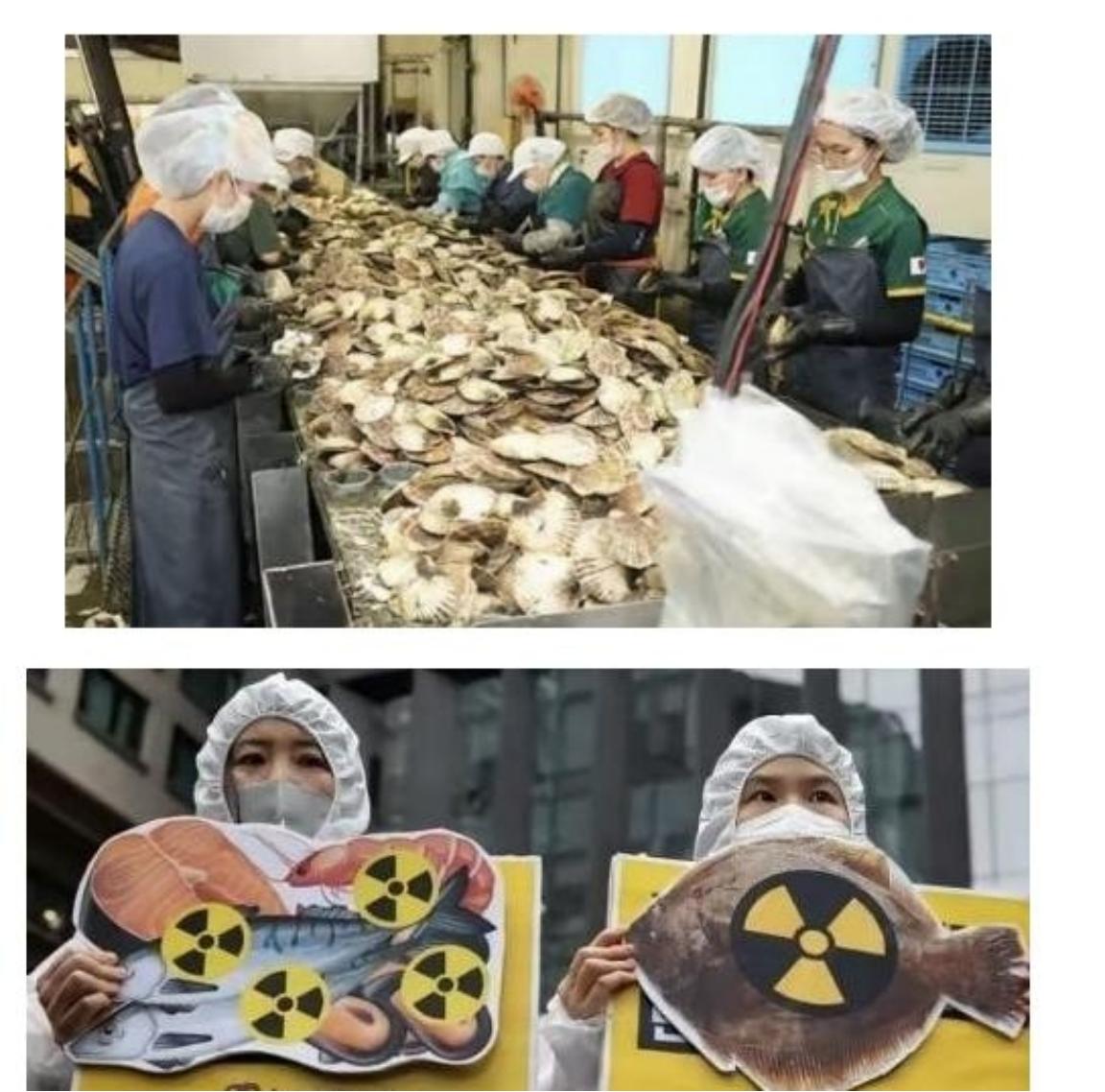 日本排放核水后，奇怪的事发生了：刚开始各国对海鲜避之不及，如今3年过去，核水已污