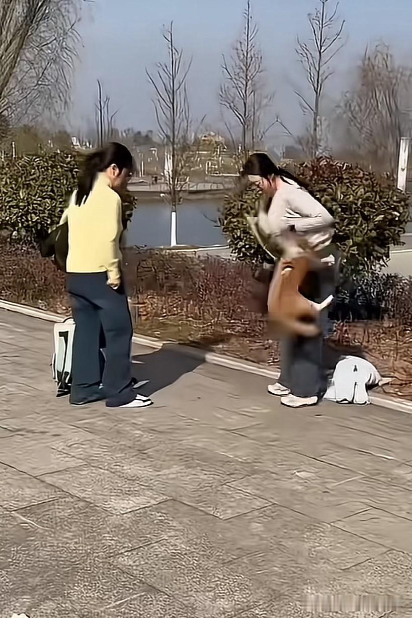 喜欢养猫的看看，猫发起疯来主人都要咬！

我刷到过好几次猫咬主人的视频，有一个还