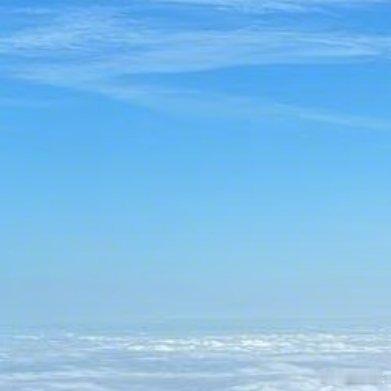 阳光信用熊猫守护者 🌿阳光信用 每日一善 一些看似不起眼的点滴努力，会在日后开