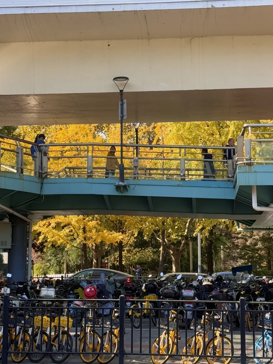 12.1实拍！！上海这个地铁站🚉！好美…