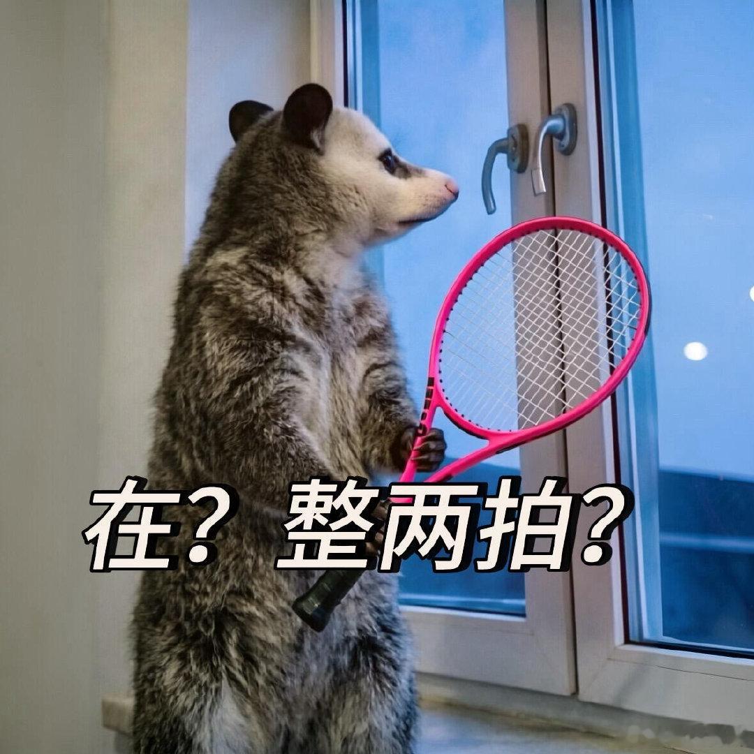 北京能体验人机网球对抗了北京线下人机对抗新体验国庆来中网，除了看专业赛事，还能打
