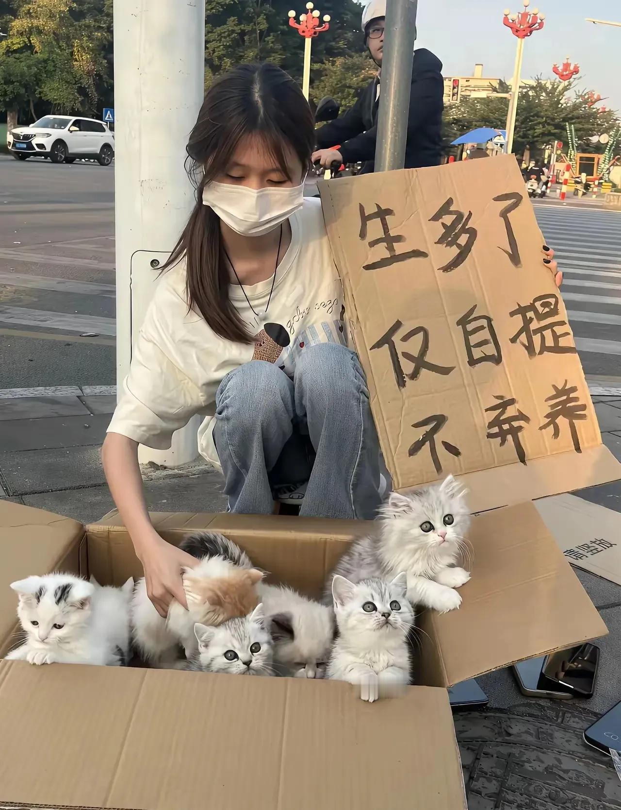 不懂就要问，谁能告诉我，这真的是免费领养的吗？[what]