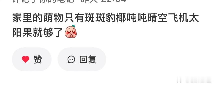 是的 还有帅气的豹嗷喵 