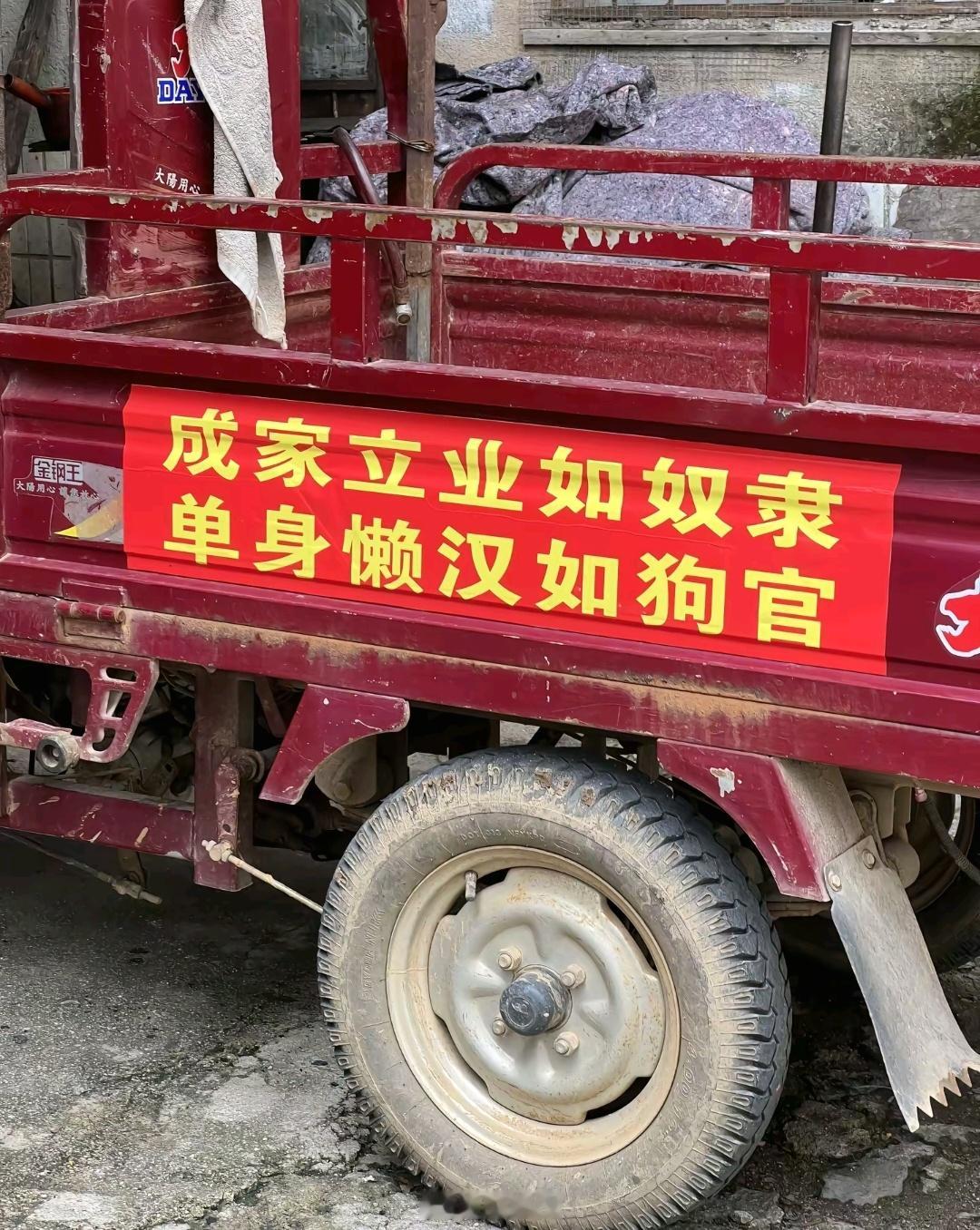 吃饱就是睡，没米找大队 