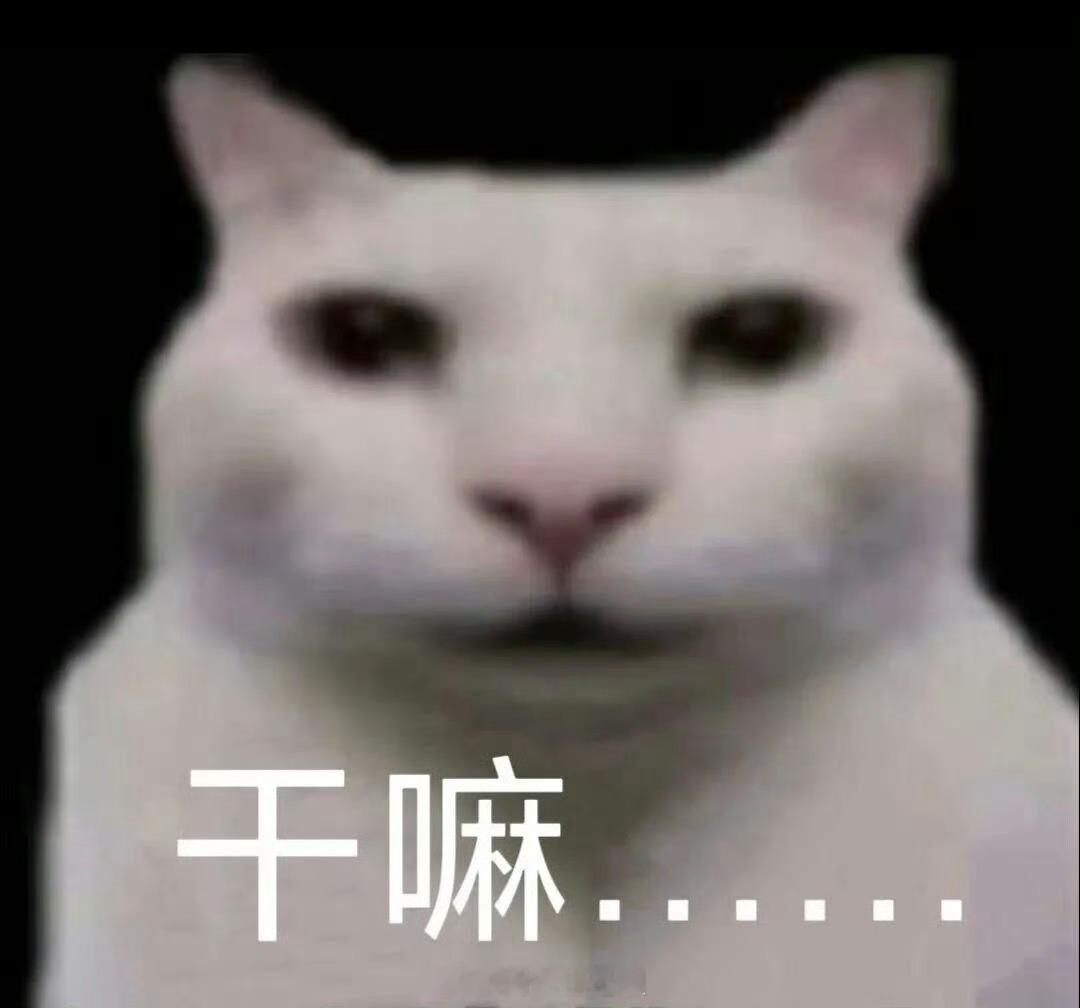 十八集看得我内心直呼：啊？？？？？吴江？？？？？？？这么大的王府就只有这几个侍卫