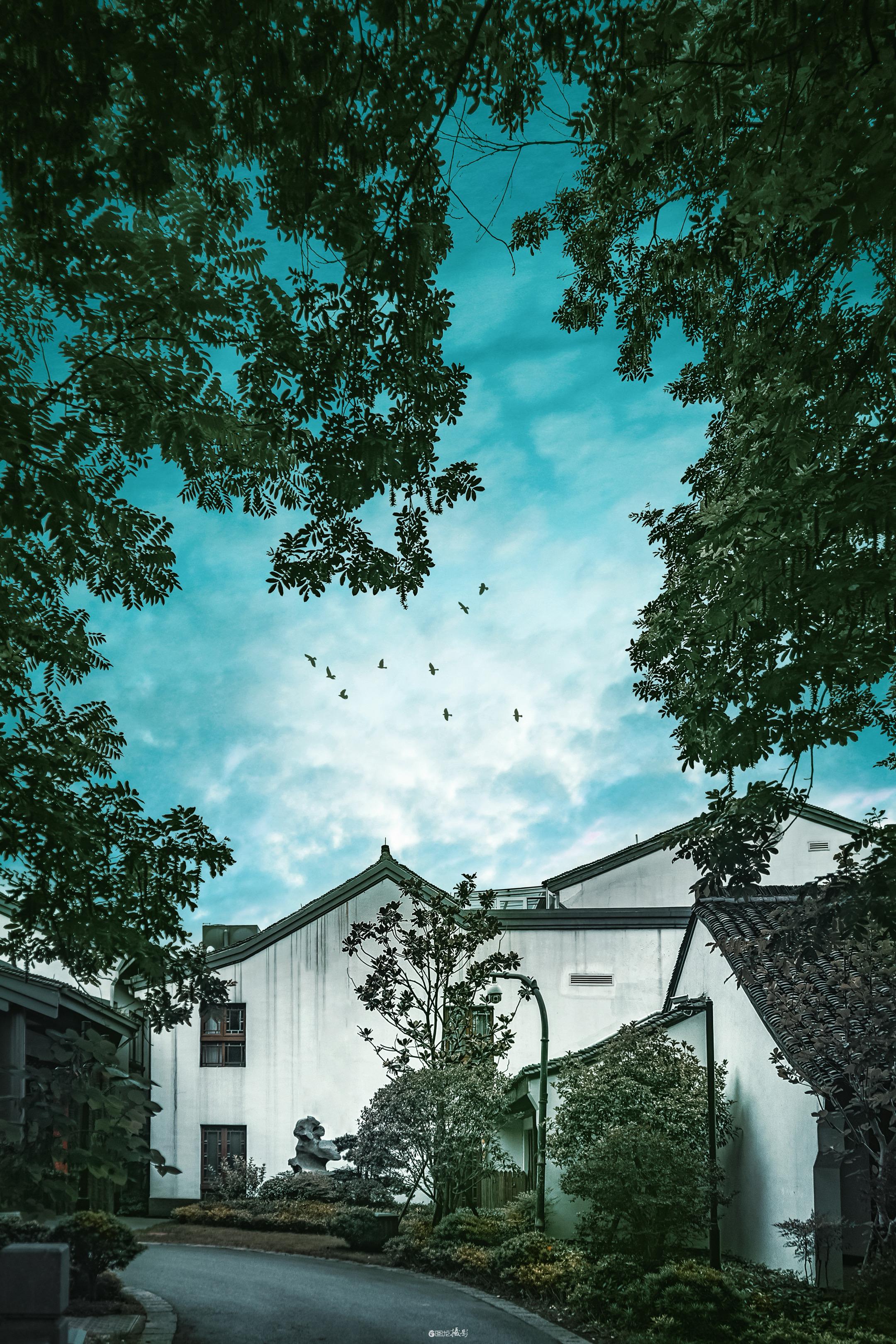 2018年6月，我在杭州的西溪公园的绿荫深处，邂逅了一场与徽派建筑的静...