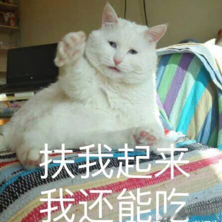 电视剧太好看了也不好，往天我九点就睡觉了，现在看重器看到十点了也不困，但饿的不行