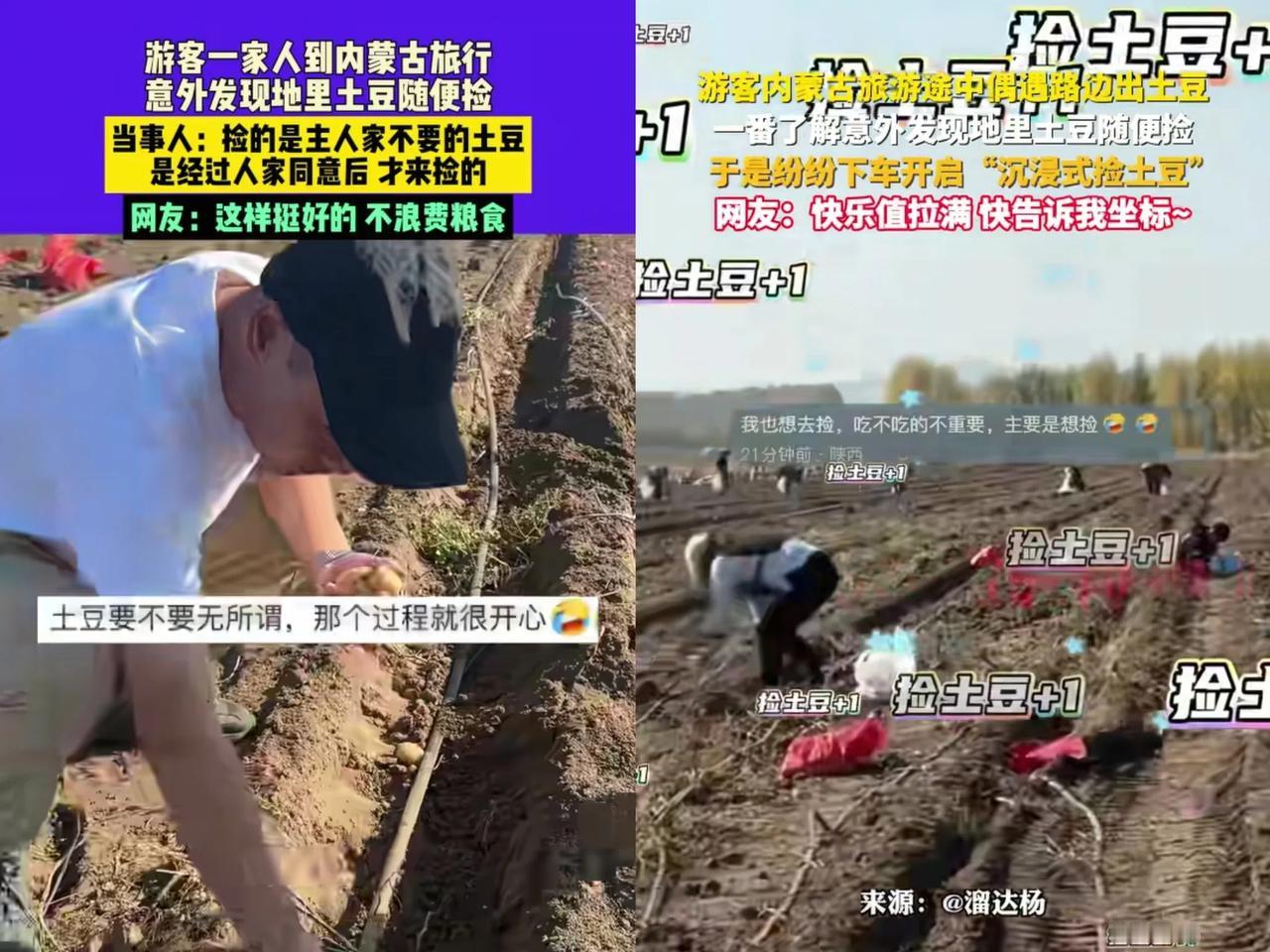 男子一家三口去内蒙古旅行，发现路边地里有很多土豆，就跑到地里去捡土豆。主人家说这