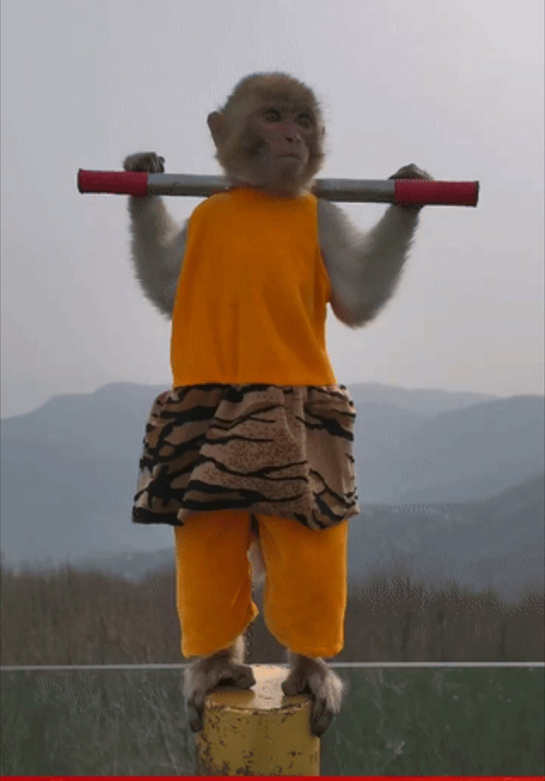 追觅俞浩怒批小红书突然想起了鸿蒙智行和懂车帝的战争。平台想用舆论来挟持品牌多给钱