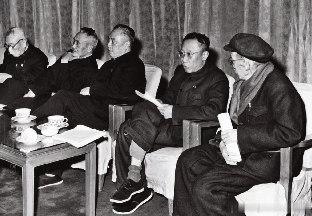1962年3月获得特赦不久的溥仪（右二），作为特邀代表在全国政协三届三次会议的小