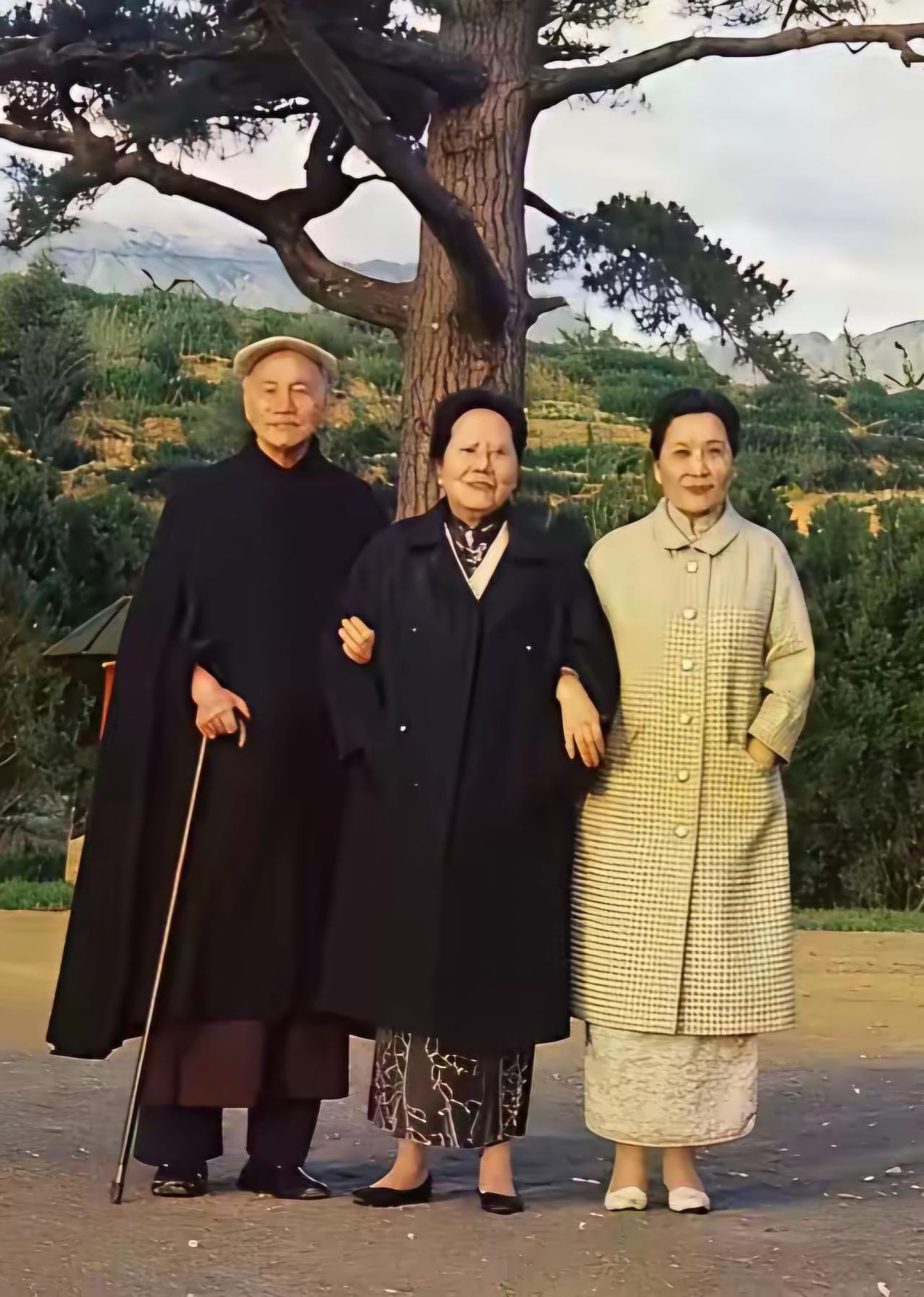 王铎：蒋介石夫妇与宋大姐