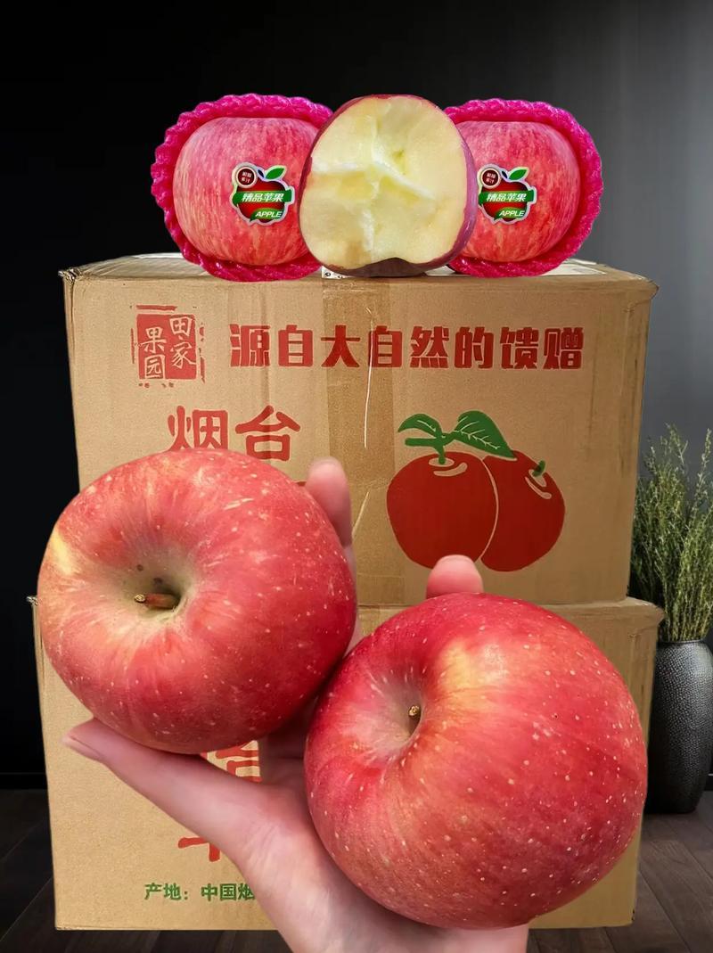 从黄海之滨到沂蒙山区，从千年文脉到科创前沿，好客山东正书写着新时代的正能量答卷。