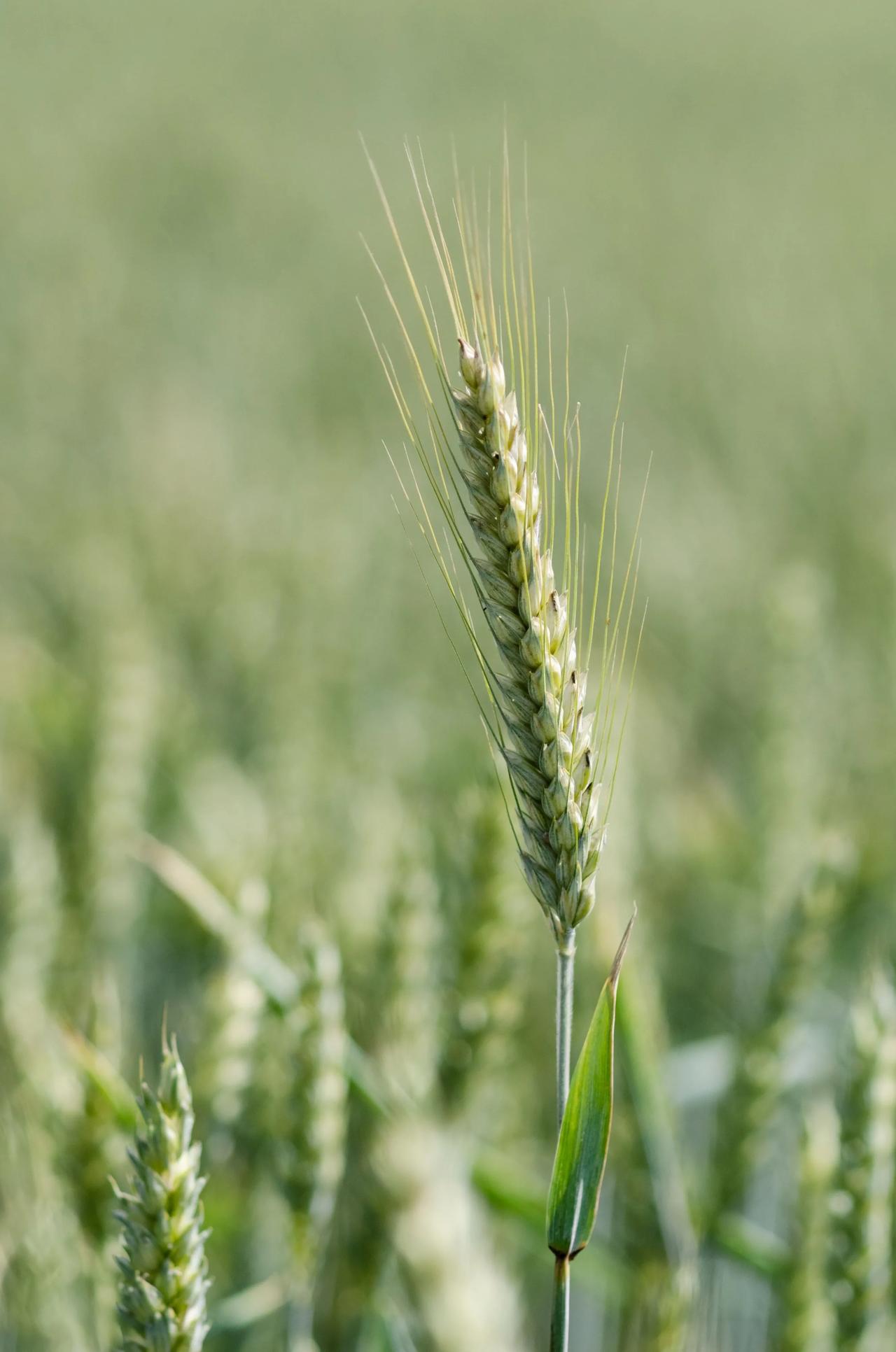 道德经说：少则得，多则惑！人这辈子做好一件事情就行，能够在一件事情上深耕，必定有