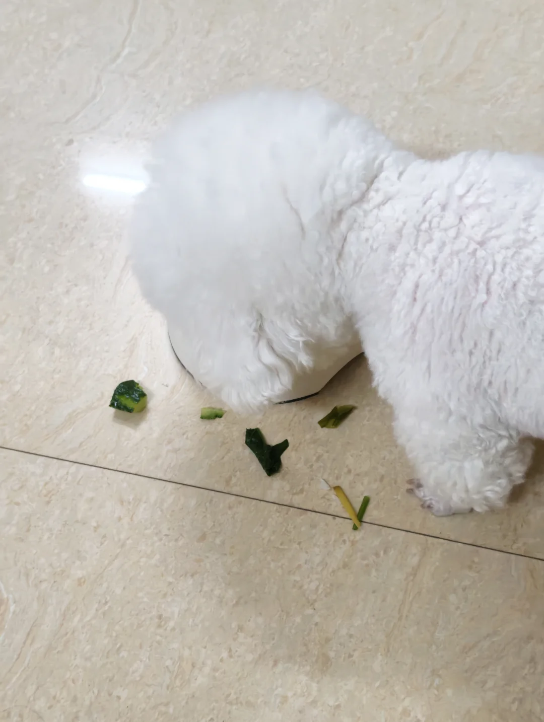 不喜欢吃的全部丢到地上去