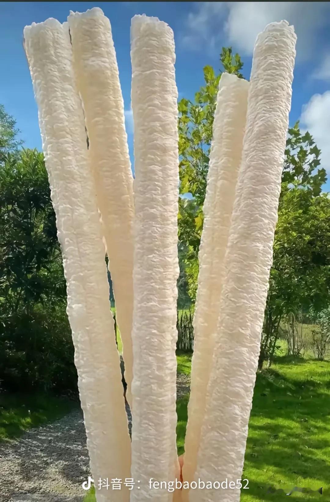 有吃过这个的嘛，你们那里管这个叫什么？