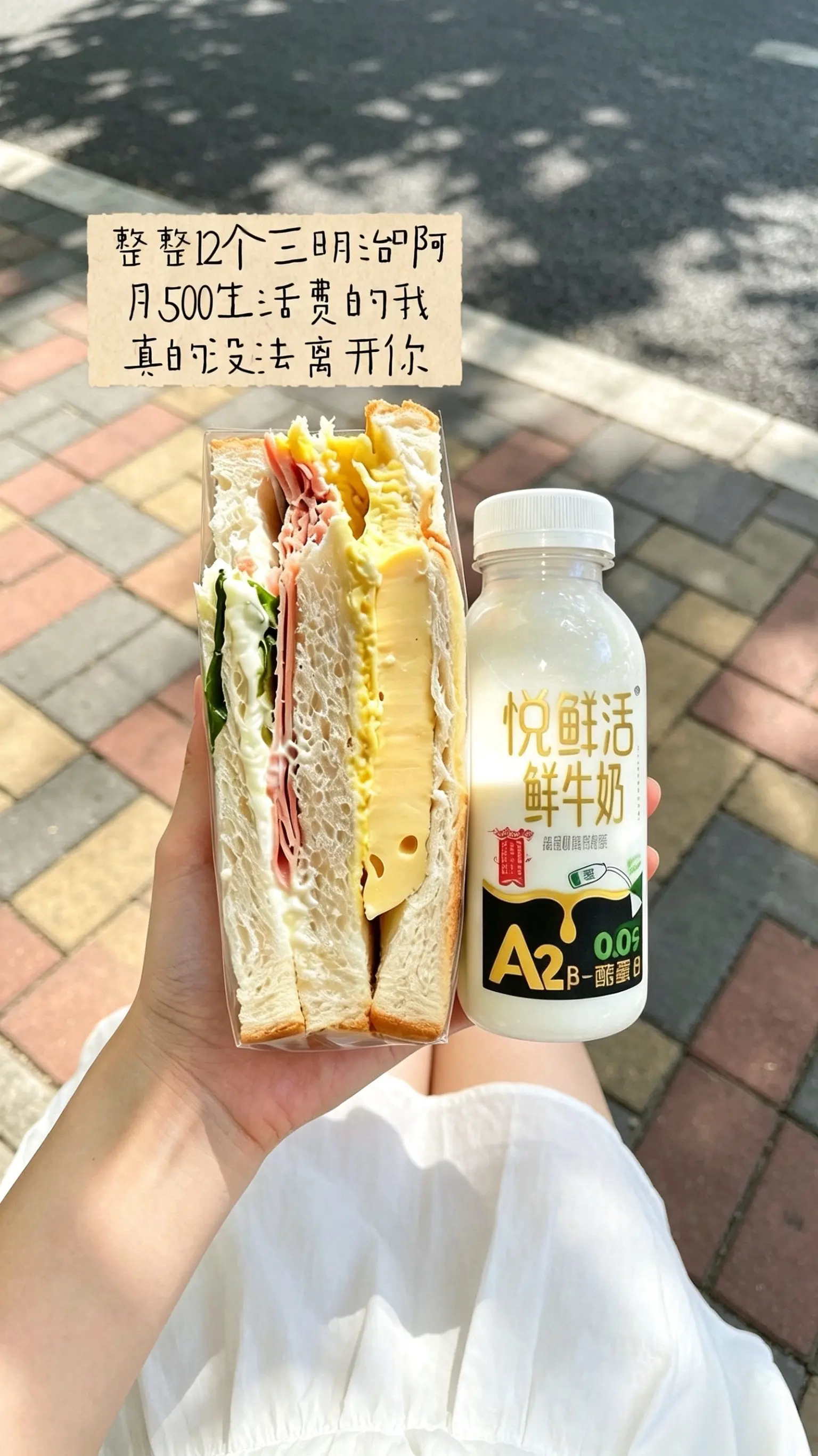 沃趣，整整12个三明治，我半个月都不用买早餐，都靠它了！