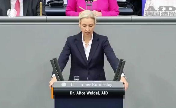 魏德尔或当德国总理 震动全德