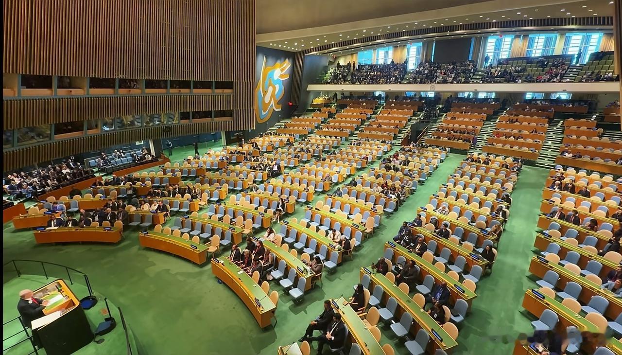 联合国大会有点像菜市场，来去自由，小国就是去凑个热闹，潜规则盛行。
大家都知道美