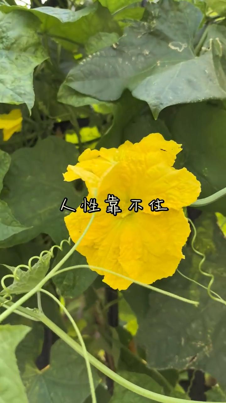 人性靠不住。
千万不要把晚年想象的太过美好、太过理想化。告诉你一个残酷的现实，谁