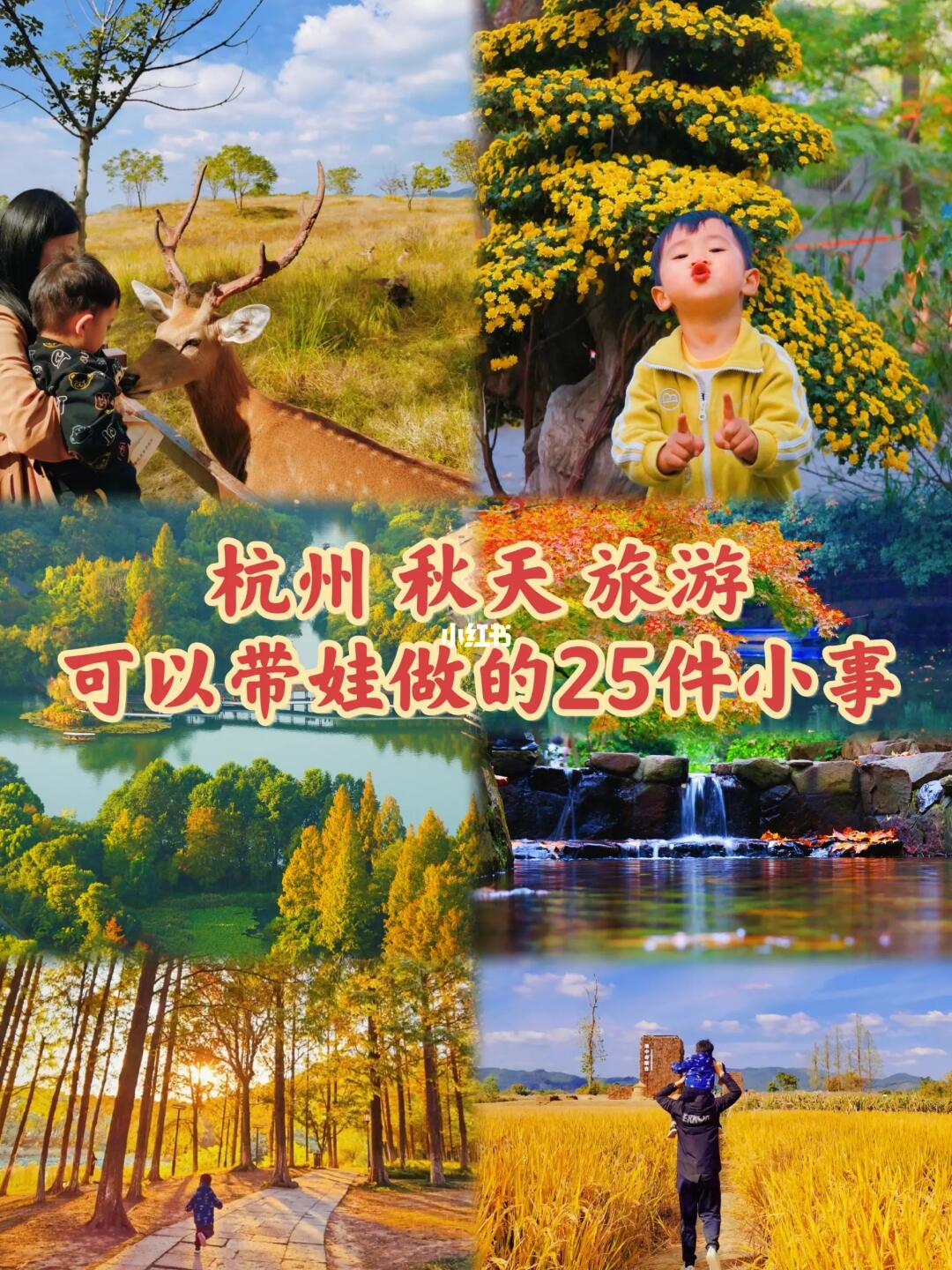 私藏的‼️杭州秋天25个溜娃宝藏地