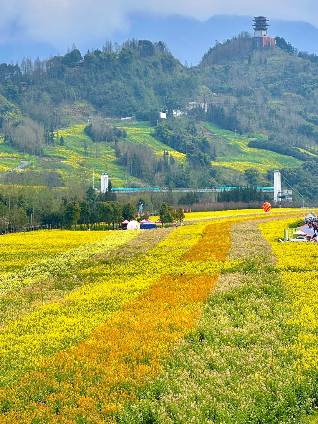 雅安！！你咋不宣传啊……免费的油菜花海！！