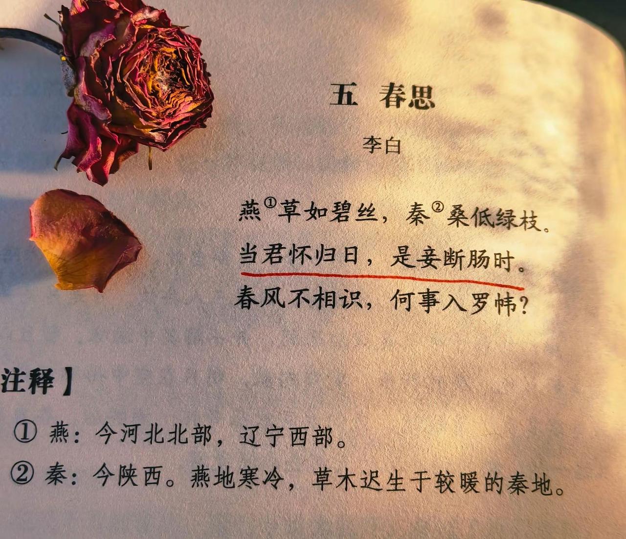 相隔千里的春天，从来不同频你念归家，我念你春风无辜，却撞碎一整个春天的思念李白《