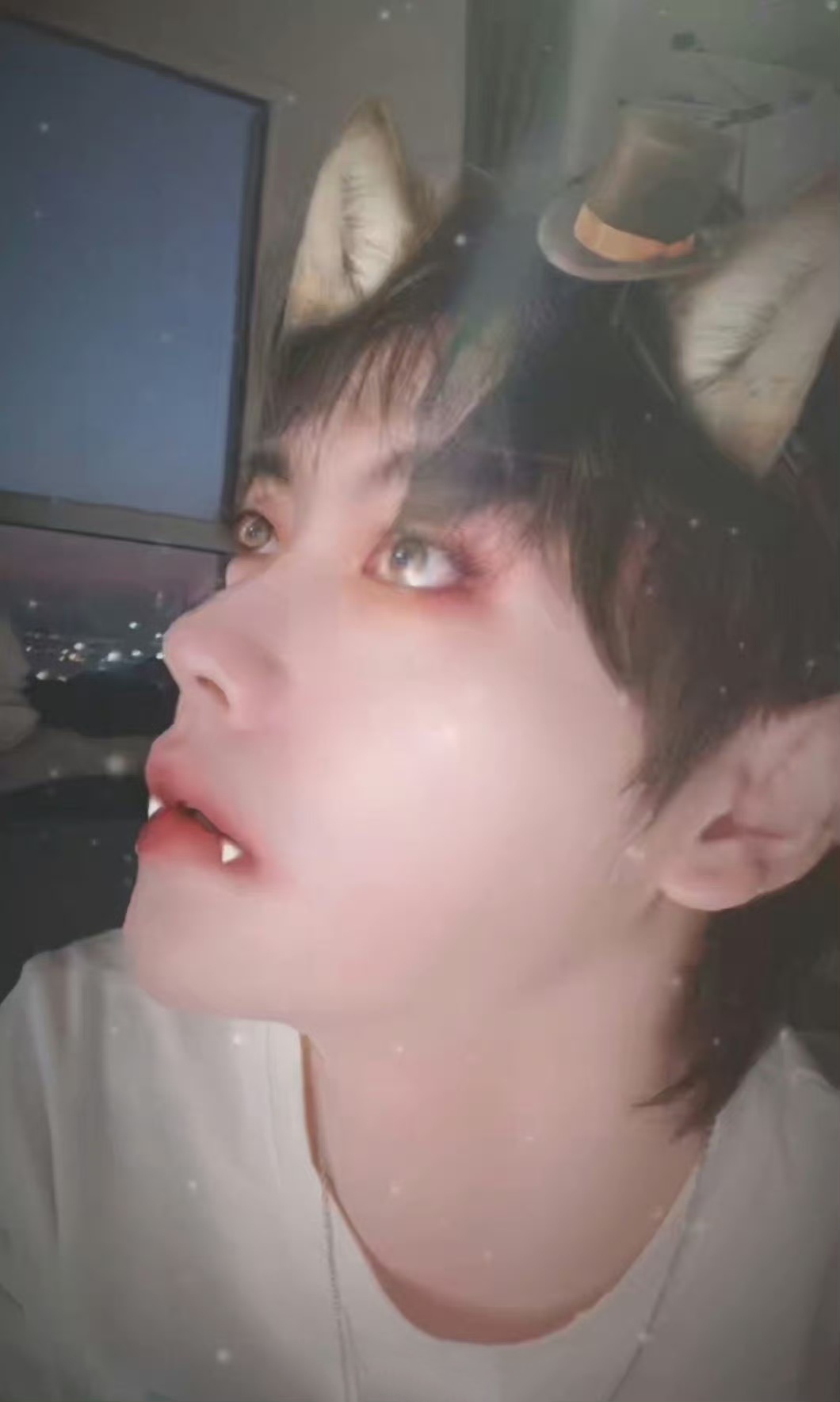 喵 喵 喵 👻 ​​​