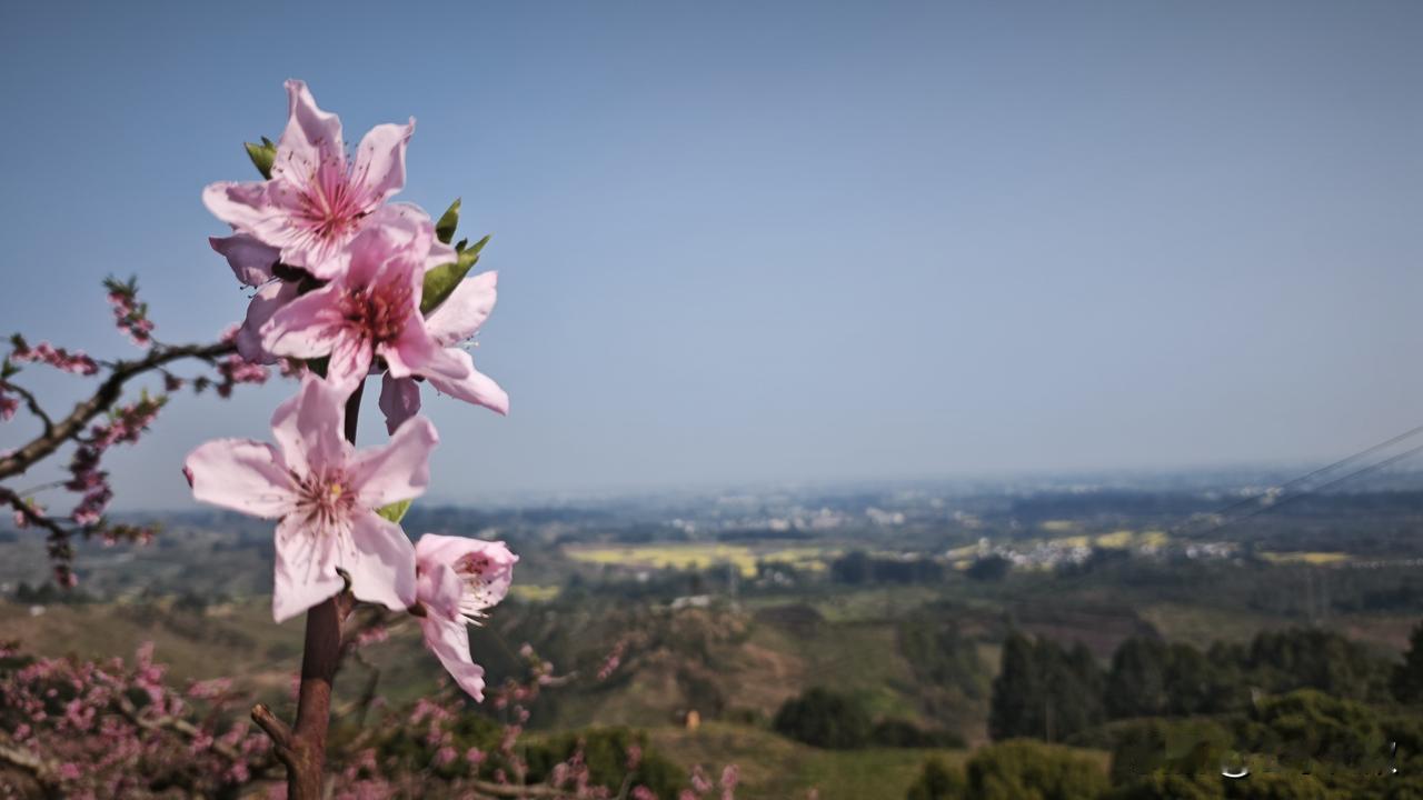 生命是无常的，我们不能期待和祈求这一关过了以后，没有下一关。余华写的《活着》就是