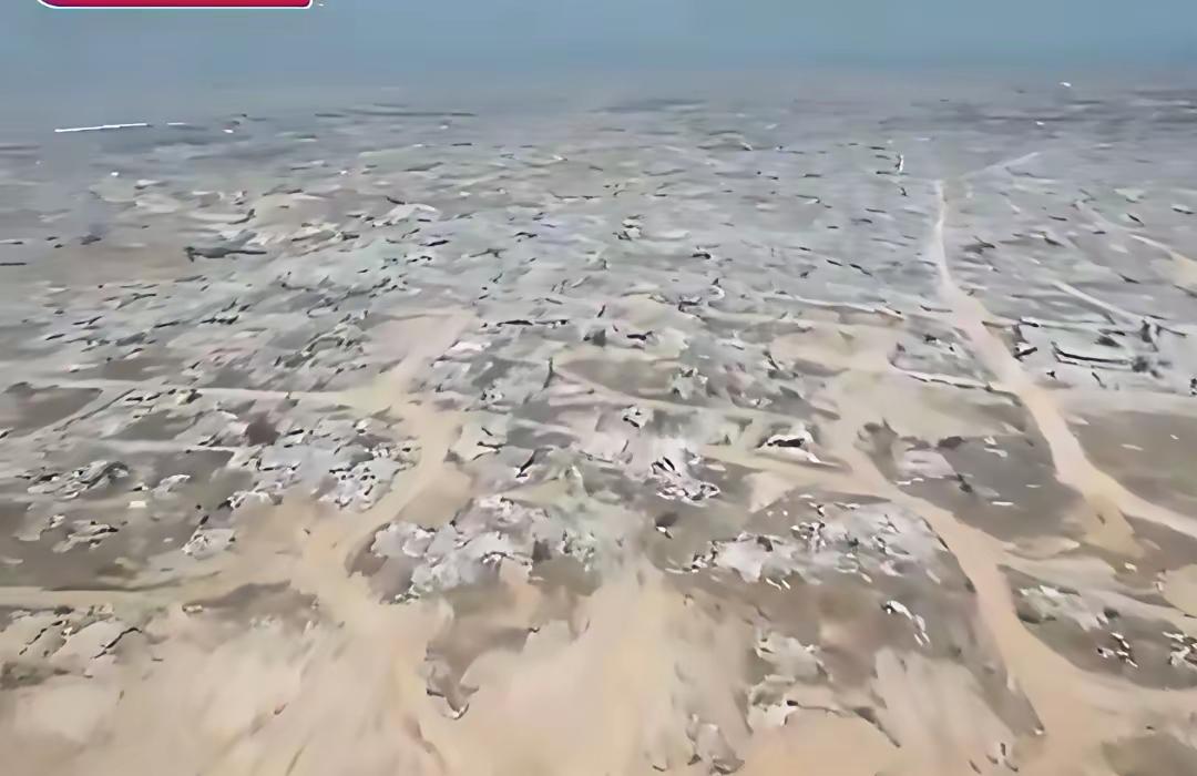 从卫星地图上看上去整个加沙地带几乎成了一个废墟的城市，整个加沙地带没有找到一栋完