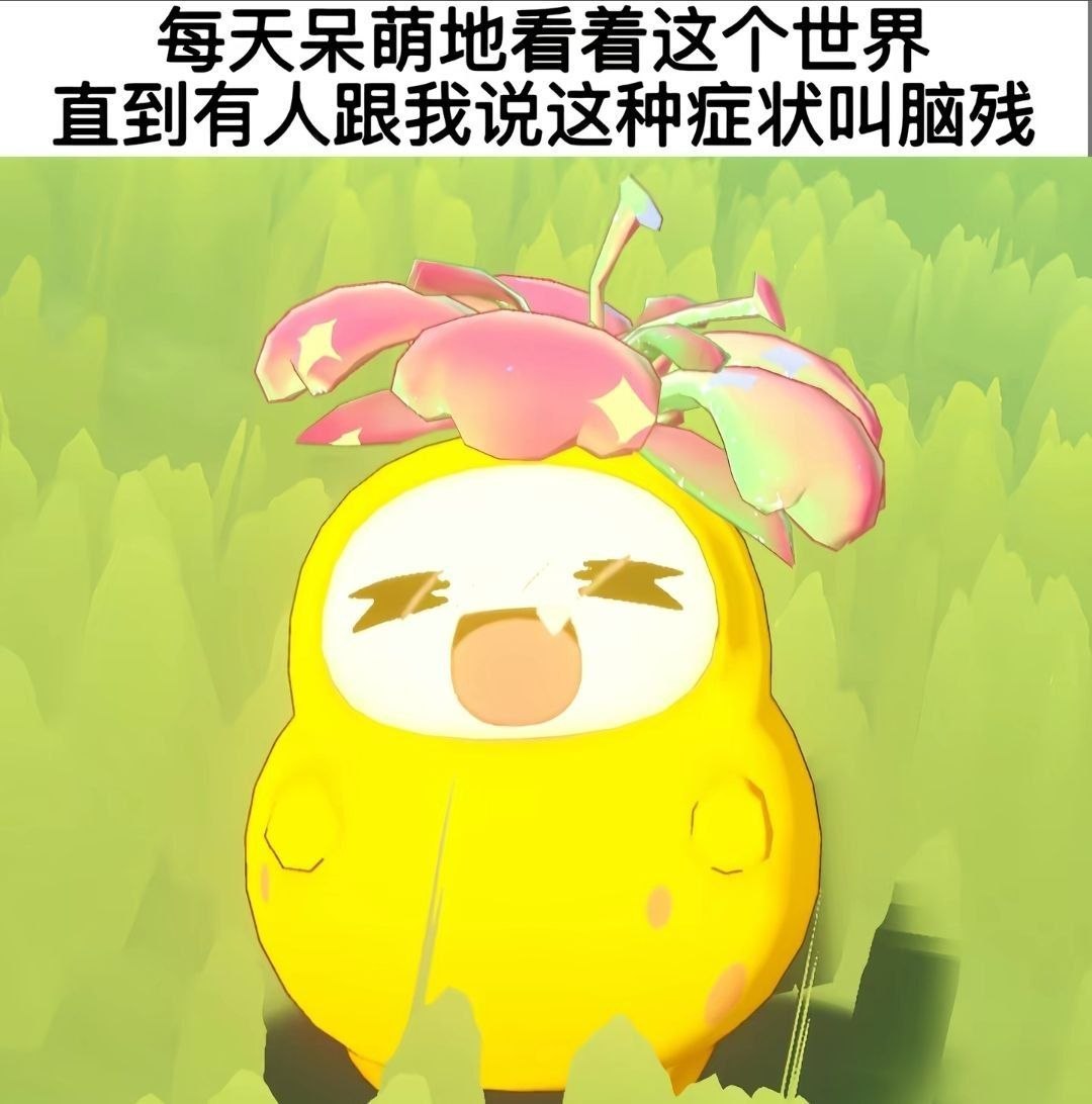 哦哦