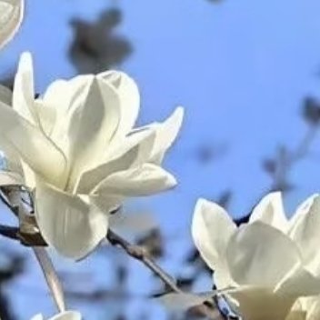 每日一善 知行善、学行善、比行善，社会将更加美好。日行一善事，快乐每一天。付出是