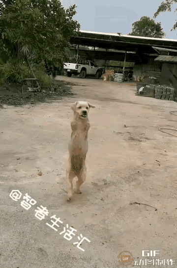 一个牛马，如果不用为了吃饭而烦恼，它还会工作吗？