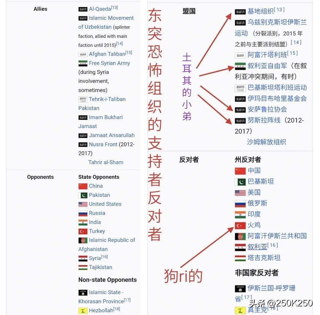 因为埃尔多安在叙利亚搞幺蛾子，俺强烈的围观。围观来围观去，围观到了万恶的“东突厥
